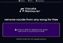 audioalter vocal remover