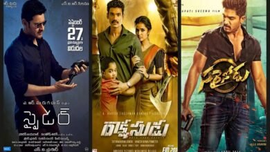 movie roles telugu (2024)